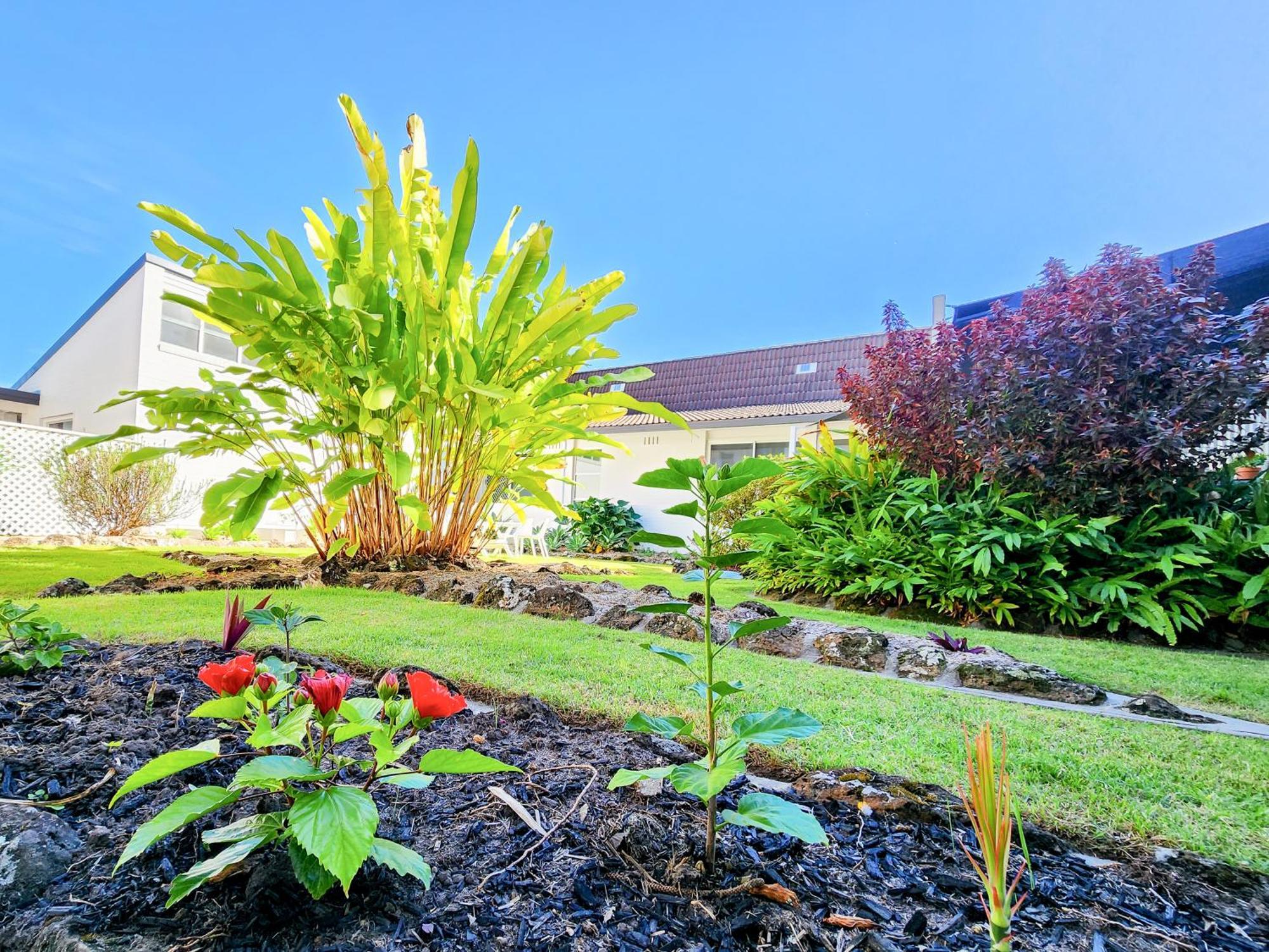 The Stella Motel Yamba Dış mekan fotoğraf